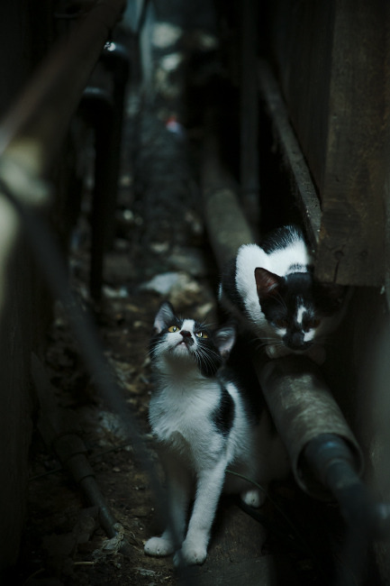 1.以静制动，方显大师本色—霍勒迪在国家德比的教科书式演绎