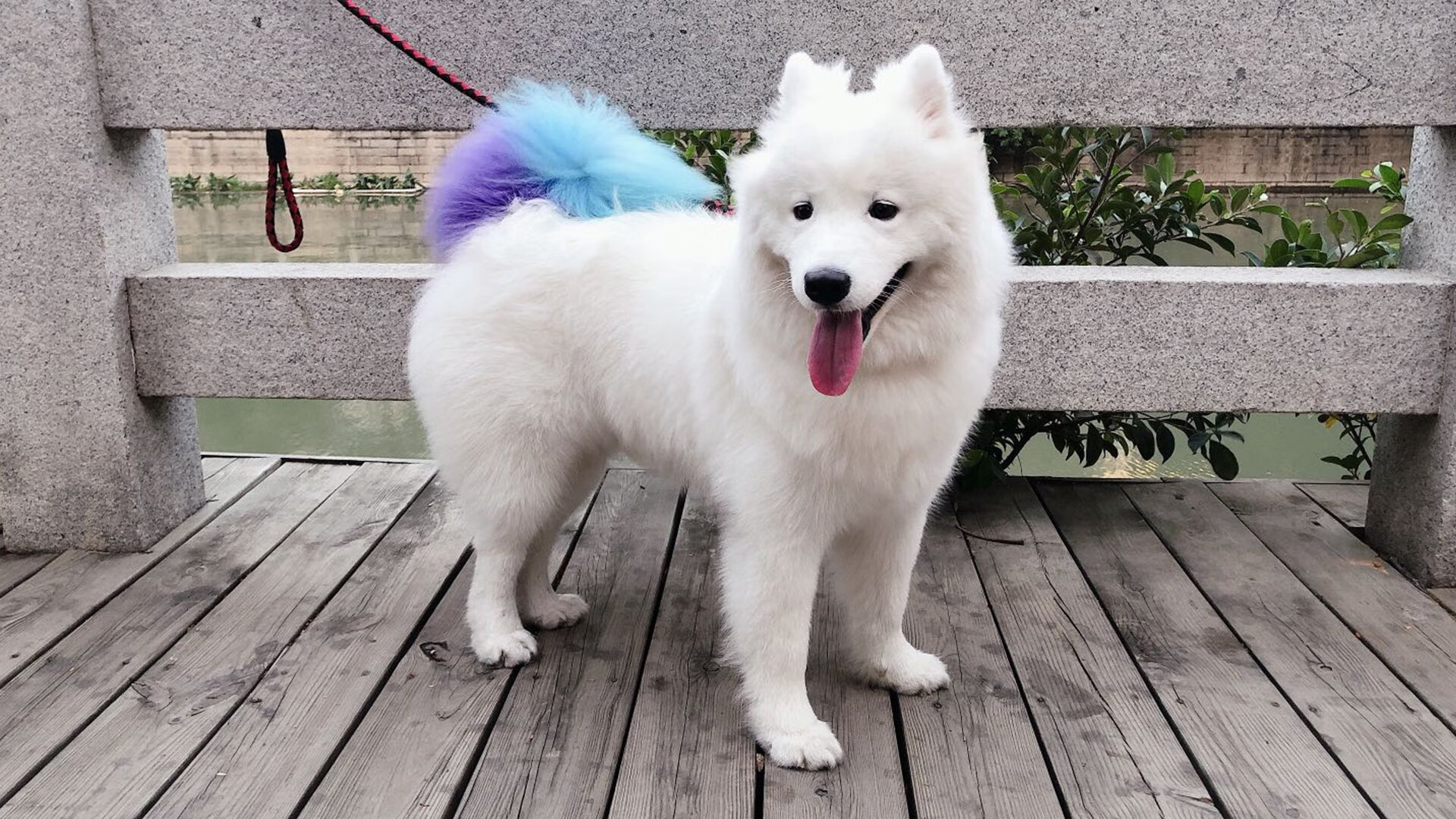 开云体育官网-迪亚斯一剑封喉！尤文补时绝杀智利，演绎绿茵唯一性