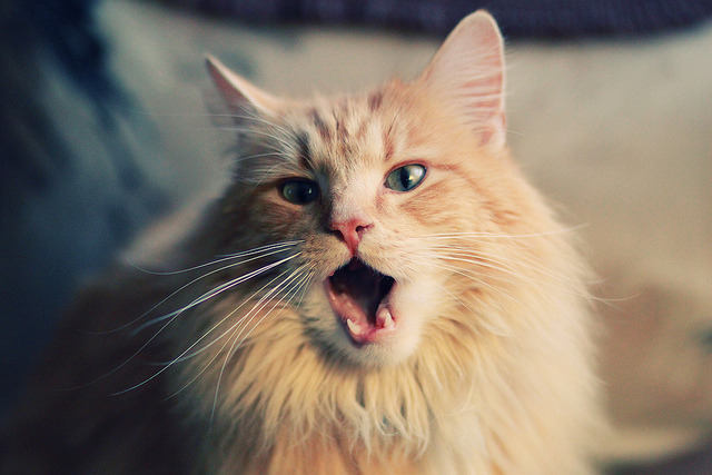 开云体育在线-精密仪器的协作，极限速度的独舞，76人战术压制与拉梅洛揭幕战接管