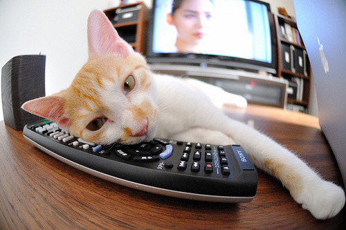 重压之下，王者绽放，京多安的涅槃与巴西铁骑的碾压哲学