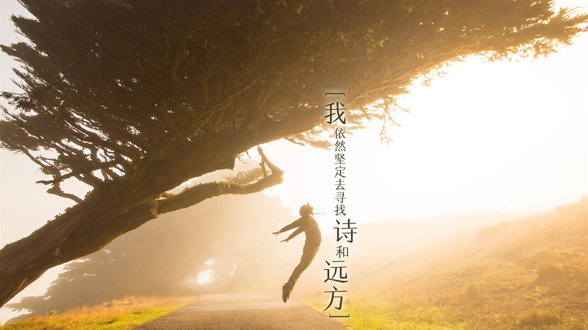 开云sport-欧冠淘汰赛之夜，福登的压制级发挥，定义中场统治力