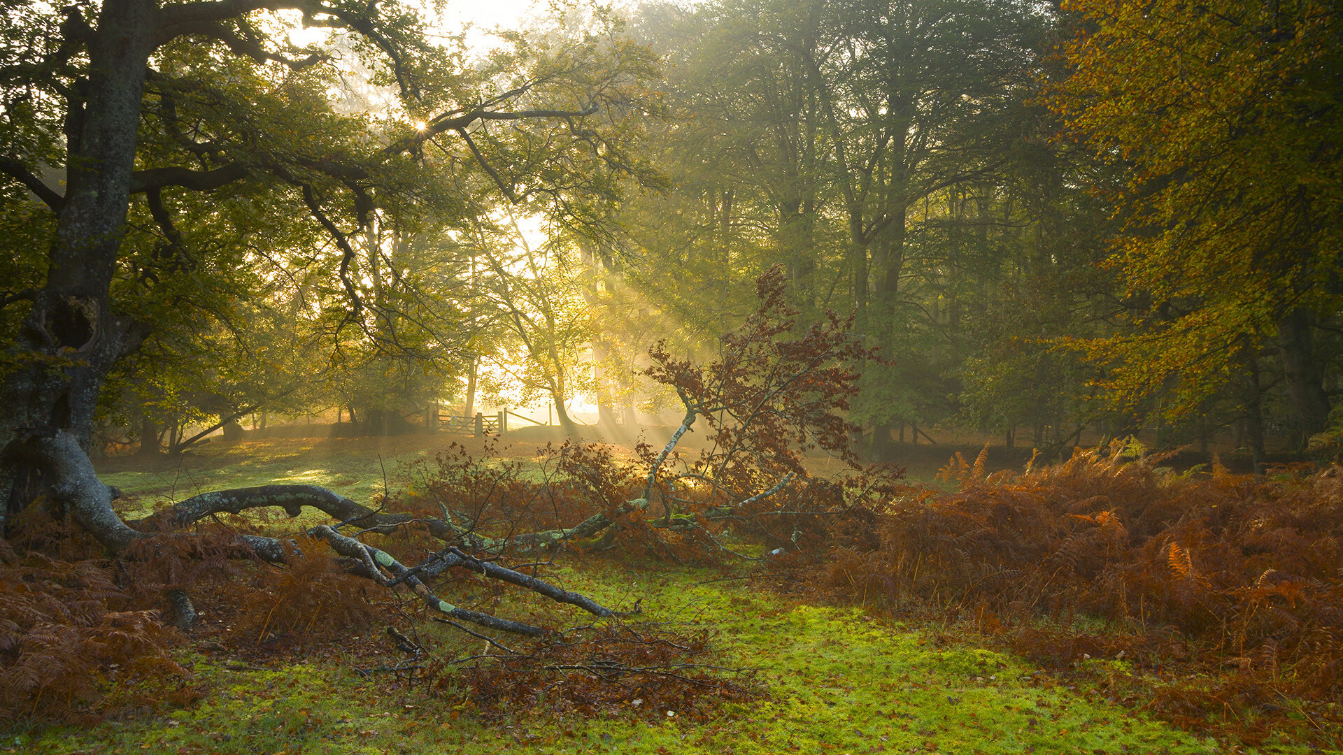 沉默的罗盘，贝恩如何用非数据节奏，将奇才拧成一股绳？