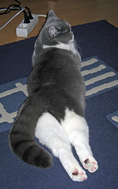 开云sport-跨国表演赛惊现篮球次元壁，文班亚马48分背后，森林狼的窒息式连续得分如何冻结上海队？