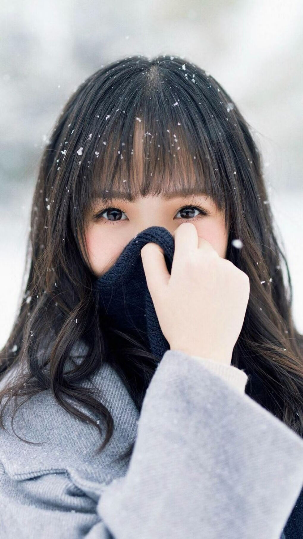 飓风席卷德黑兰,卡马文加的巴黎风暴在波斯高原奏响凯歌