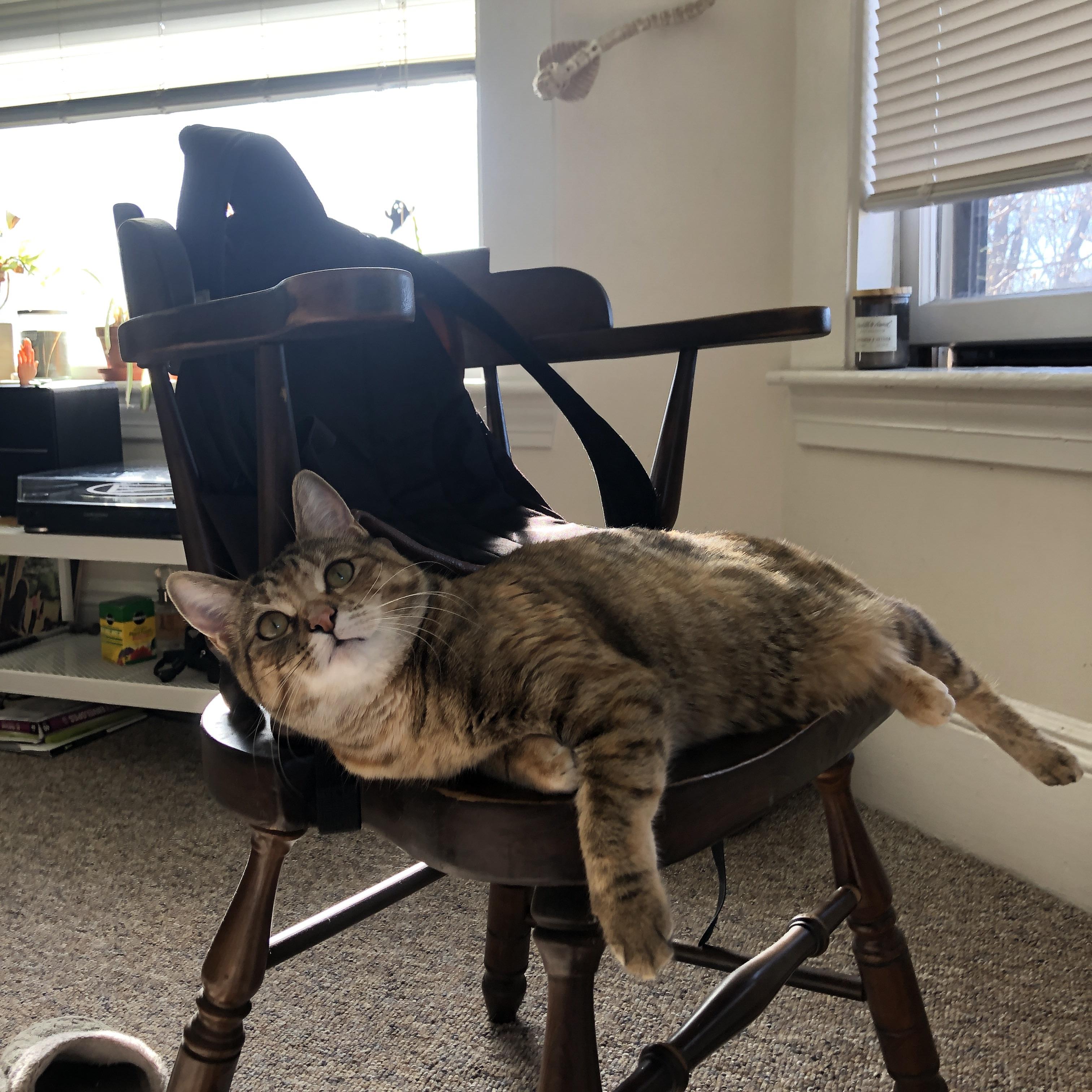 开云体育app-当NBA德比遇见西班牙国家德比，凯尔特人的团队锋刃，与恩比德的降维接管