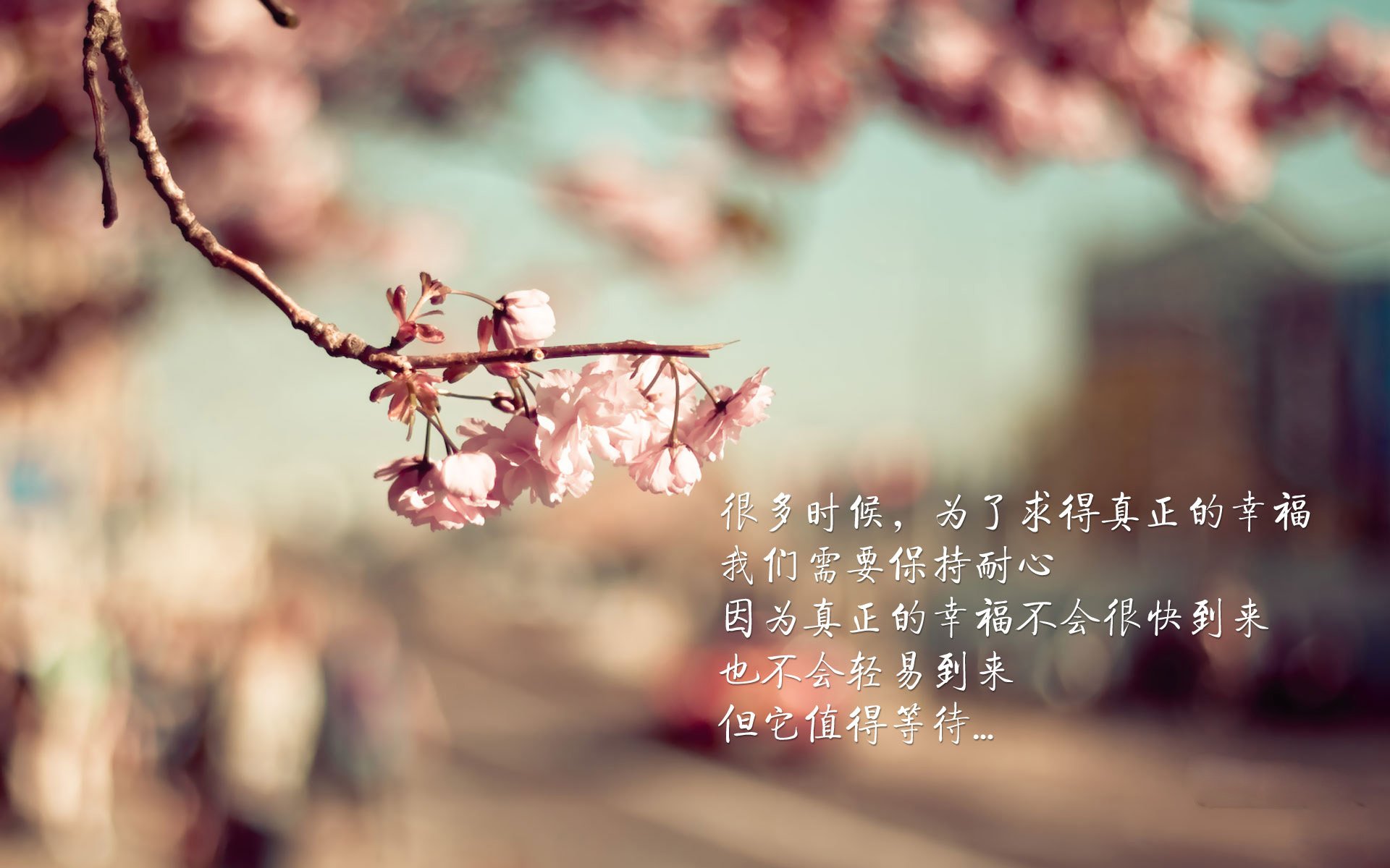 墨尔本之夜,当铁律被改写,巴雷拉以唯一之名,刺破葡萄牙的黄金海